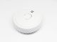 SafetyDave Fire Smoke Alarm with Hush Features